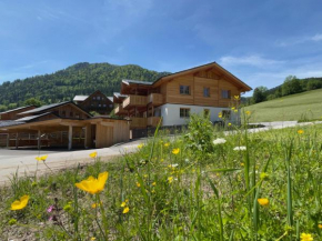 Dachstein West Apartments Rußbach Am Paß Gschütt